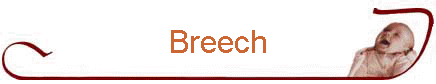 Breech